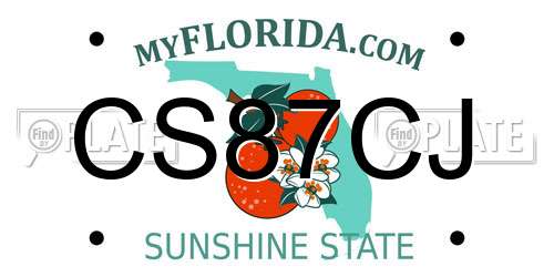 CS87CJ Florida License Plate