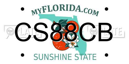 CS88CB Florida License Plate