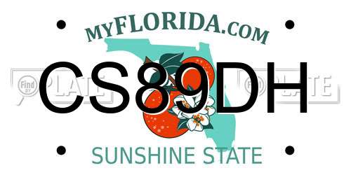 CS89DH Florida License Plate