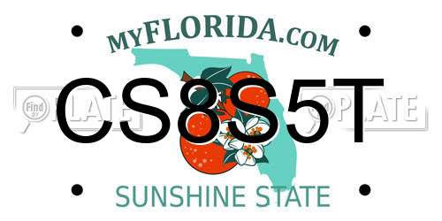 CS8S5T Florida License Plate