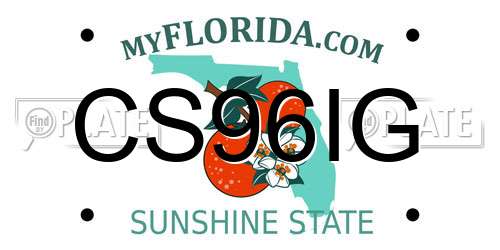 CS96IG Florida License Plate