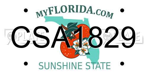 CSA1829 Florida License Plate