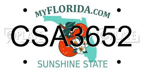 CSA3652 Florida License Plate