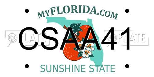 CSAA41 Florida License Plate