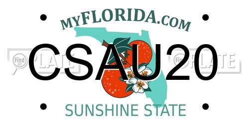 CSAU20 Florida License Plate