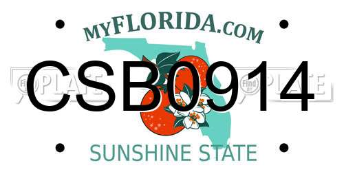 CSB0914 Florida License Plate