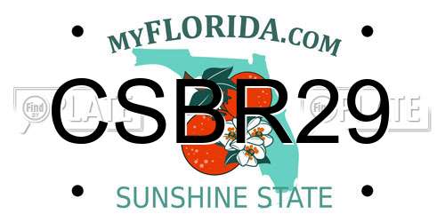 CSBR29 Florida License Plate