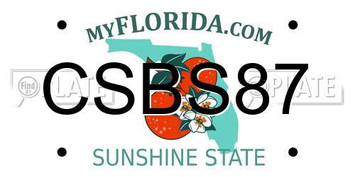 CSBS87 Florida License Plate