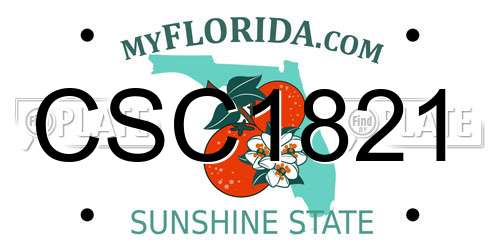 CSC1821 Florida License Plate