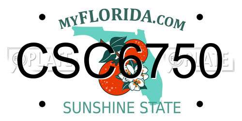 CSC6750 Florida License Plate