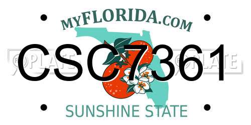 CSC7361 Florida License Plate