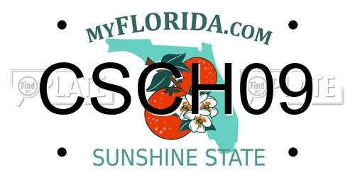 CSCH09 Florida License Plate