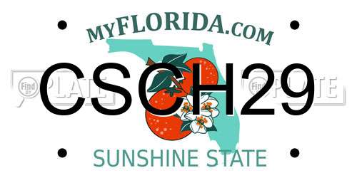 CSCH29 Florida License Plate