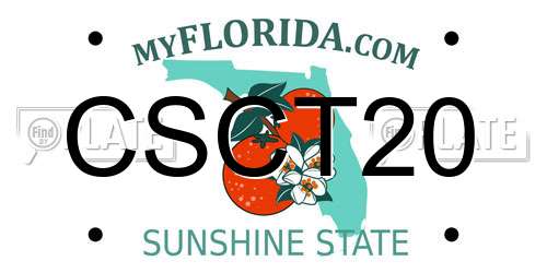CSCT20 Florida License Plate