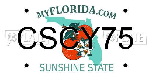 CSCY75 Florida License Plate