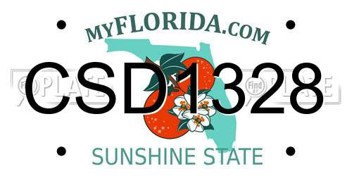 CSD1328 Florida License Plate