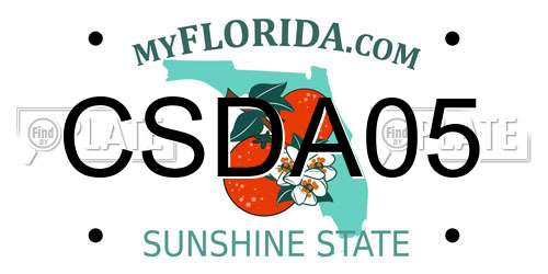 CSDA05 Florida License Plate