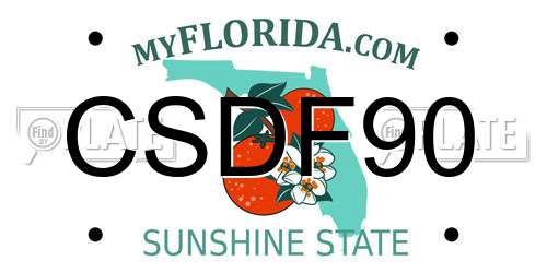 CSDF90 Florida License Plate