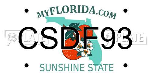 CSDF93 Florida License Plate