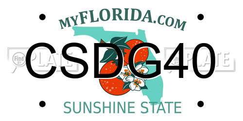 CSDG40 Florida License Plate