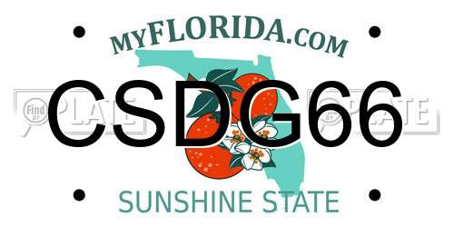 CSDG66 Florida License Plate