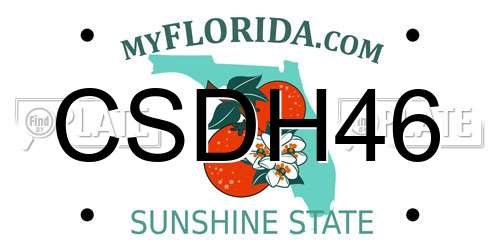 CSDH46 Florida License Plate