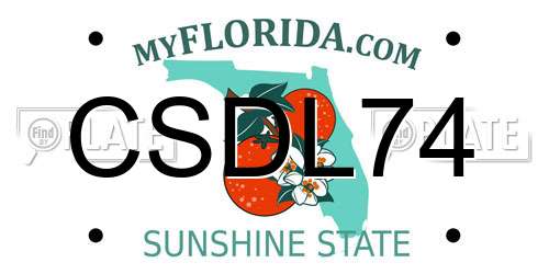 CSDL74 Florida License Plate