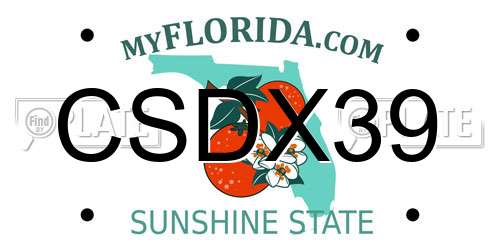 CSDX39 Florida License Plate