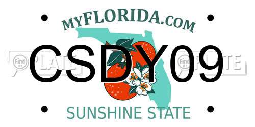CSDY09 Florida License Plate