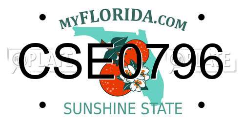 CSE0796 Florida License Plate