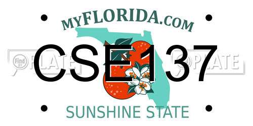CSE137 Florida License Plate