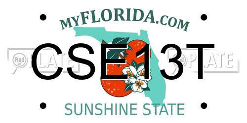 CSE13T Florida License Plate