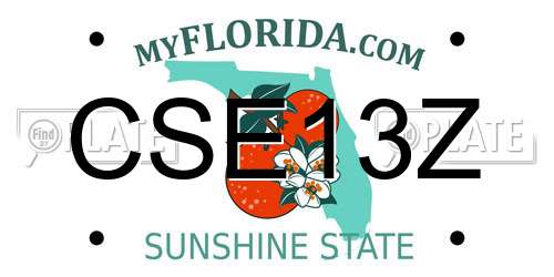 CSE13Z Florida License Plate