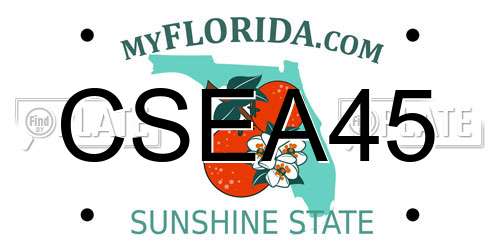 CSEA45 Florida License Plate