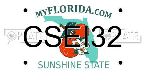 CSEI32 Florida License Plate