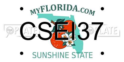 CSEI37 Florida License Plate