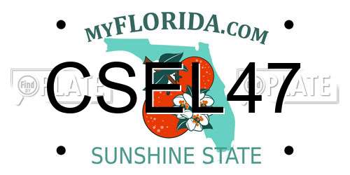 CSEL47 Florida License Plate