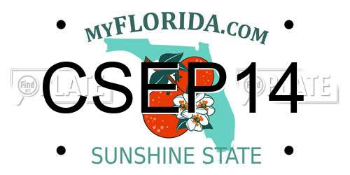 CSEP14 Florida License Plate