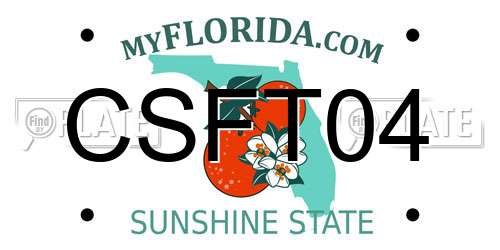 CSFT04 Florida License Plate