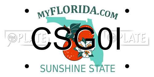 CSG0I Florida License Plate