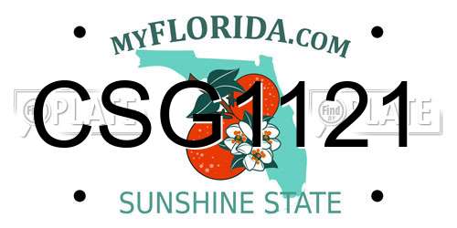 CSG1121 Florida License Plate
