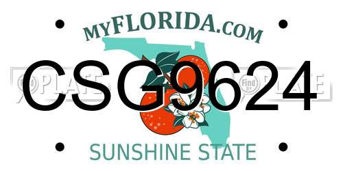 CSG9624 Florida License Plate