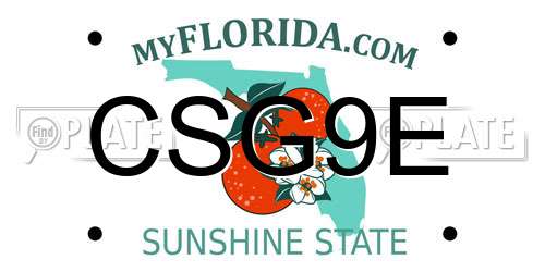 CSG9E Florida License Plate
