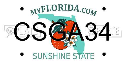 CSGA34 Florida License Plate