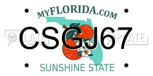 CSGJ67 Florida License Plate