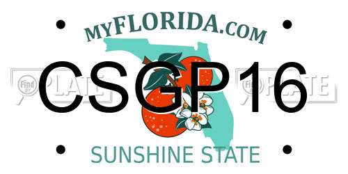 CSGP16 Florida License Plate