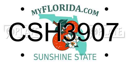 CSH3907 Florida License Plate
