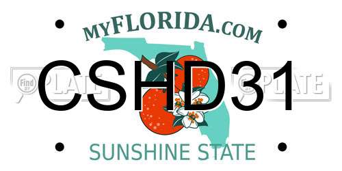 CSHD31 Florida License Plate