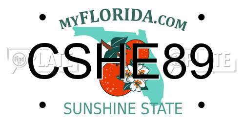 CSHE89 Florida License Plate