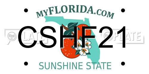 CSHF21 Florida License Plate